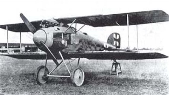 Photograph of an Albatros D.II